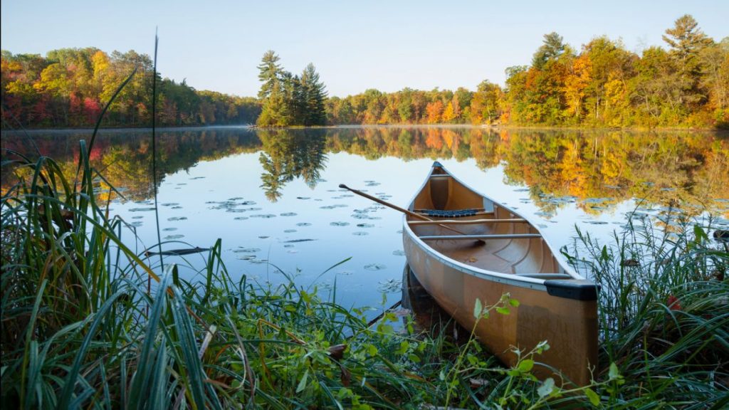 small rowboat on pond overlooking a green forest